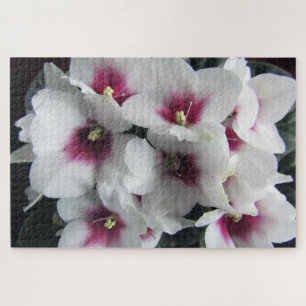roze afrikaanse violette bloemen puzzel legpuzzel