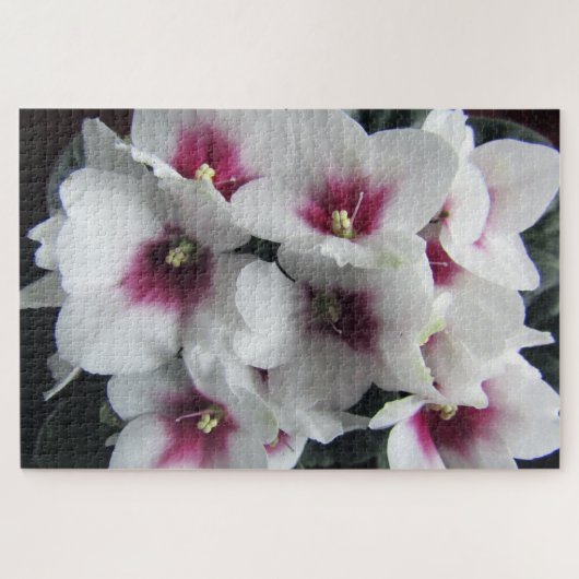 roze afrikaanse violette bloemen puzzel legpuzzel (Horizontaal)