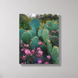 Roze airy Duster Flowers & Prickly Pear Cactus Canvas Afdruk