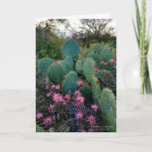 Roze airy Duster Flowers & Prickly Pear Cactus Kaart (Voorkant)