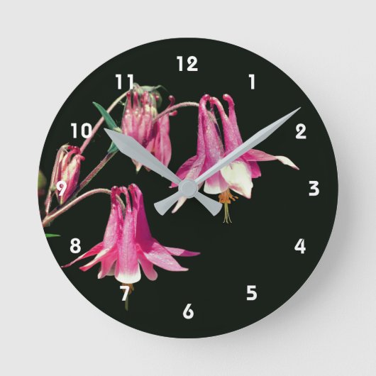 Roze akelei bloem ronde klok (Voorkant)