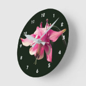 Roze akelei bloem ronde klok (Hoek)