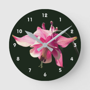 Roze akelei bloem ronde klok