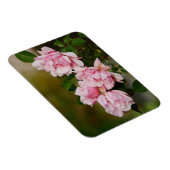 Roze Albertine Rozen Magnet Magneet (Rechterzijde)