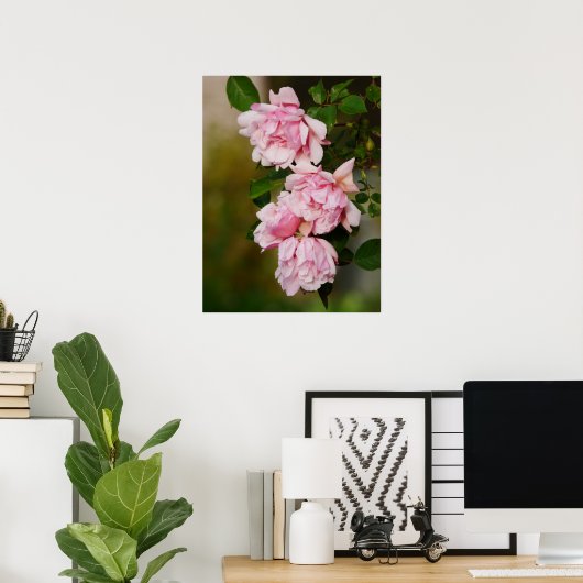 Roze Albertine Rozen Poster (Thuiskantoor)