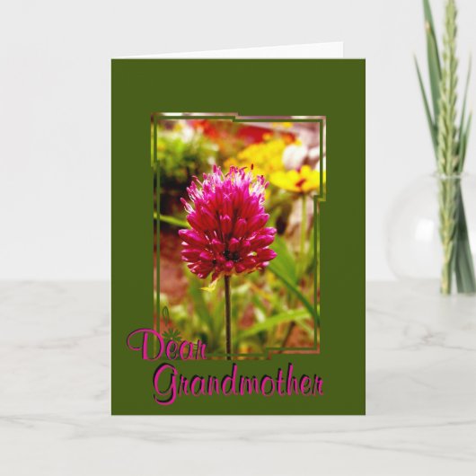 Roze Allium Wenskaart 002 Kaart (Voorkant)