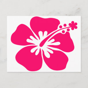 roze aloha - bloem briefkaart