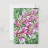 Roze Alstroemeria Bloemen Floral Flat Note Kaart (Voorkant)