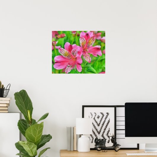 Roze Alstroemeria Lily Flowers Waterverf Style Poster (Thuiskantoor)