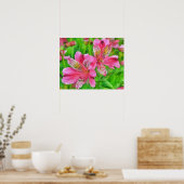 Roze Alstroemeria Lily Flowers Waterverf Style Poster (Keuken)