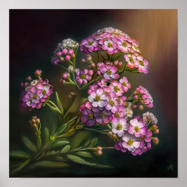 Roze Alyssum Bloem Kunstprint Poster