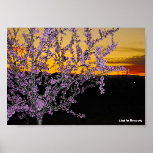 Roze amandelbloesem in gele lucht poster