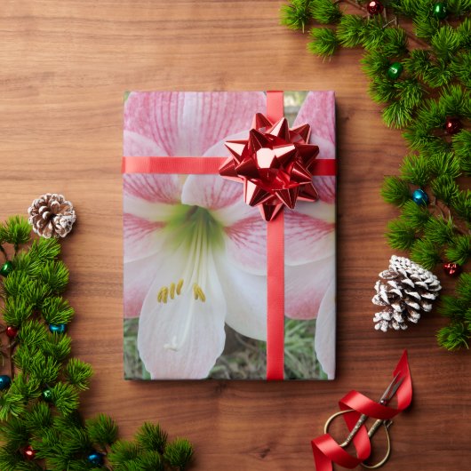 Roze amarylis cadeaupapier voor verpakkingsdoelein (Feestdagen Geschenken)