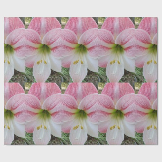 Roze amarylis cadeaupapier voor verpakkingsdoelein (Vlak)