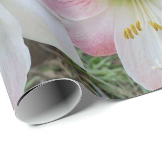 Roze amarylis cadeaupapier voor verpakkingsdoelein (Rol Hoek)