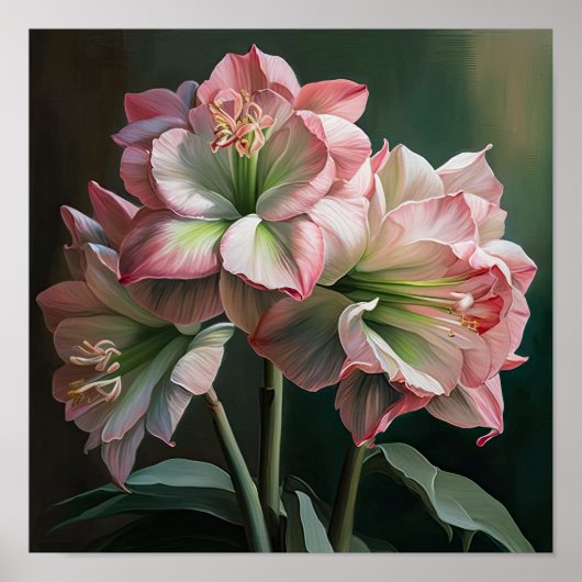 Roze Amaryllis Bloem Kunstprint Poster (Voorkant)