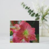 roze amaryllis briefkaart (Staand voorkant)