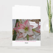 Roze Amaryllis, Denk aan Jou Kaart (Achterkant)
