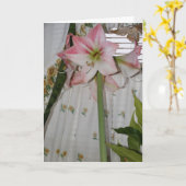Roze Amaryllis, Denk aan Jou Kaart (Gele Bloem)