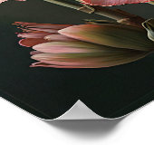 Roze Amaryllis Flower Art Print Poster (Hoek)
