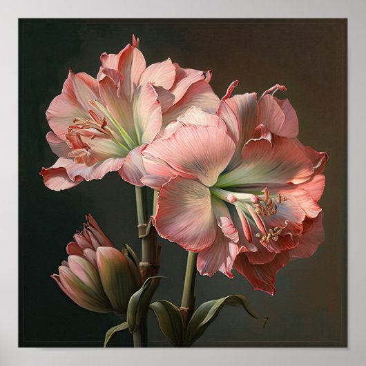 Roze Amaryllis Flower Art Print Poster (Voorkant)