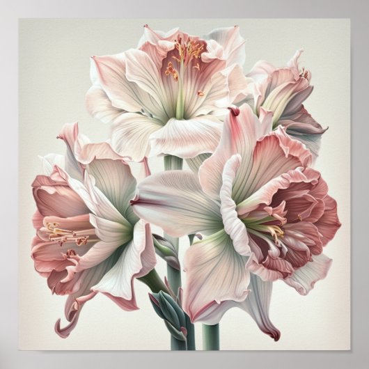 Roze Amaryllis Flower Art Print Poster (Voorkant)