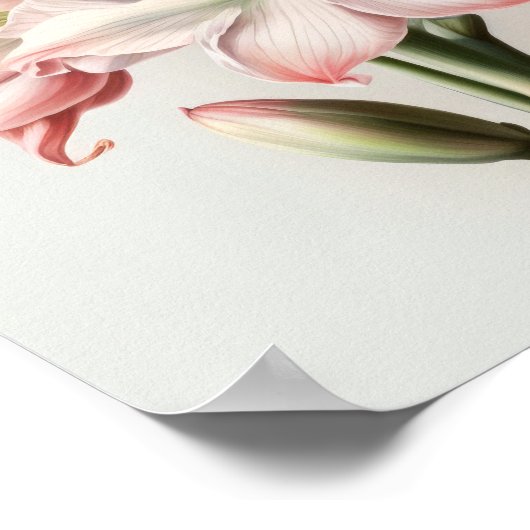 Roze Amaryllis Flower Art Print Poster (Hoek)