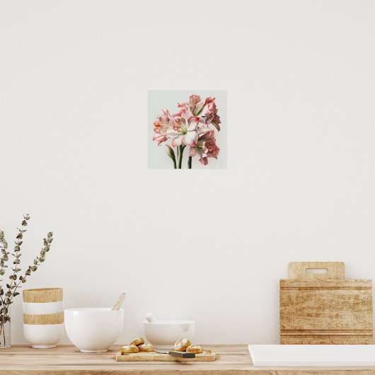 Roze Amaryllis Flower Art Print Poster (Keuken)