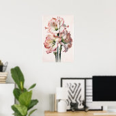 Roze Amaryllis Flower Art Print Poster (Thuiskantoor)