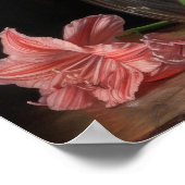 Roze Amaryllis Flowers Art Print Poster (Hoek)
