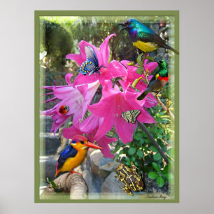 Roze - Amaryllis & Kingfisher Poster