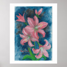roze amaryllis Poster