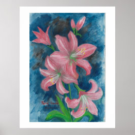 roze amaryllis Poster
