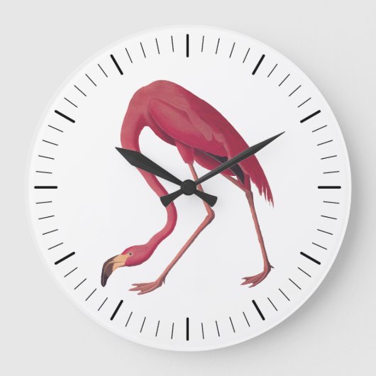 Roze Amerikaanse Flamingo Audubon  Art Bird Grote Klok (Voorkant)