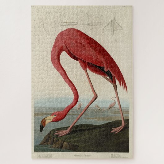 Roze Amerikaanse Flamingo Audubon's Birds of Ameri Legpuzzel (Verticaal)