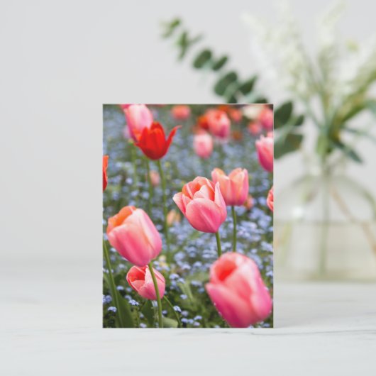 Roze Amsterdamse Springtime Tulpen Briefkaart (Staand voorkant)