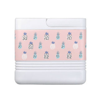 Roze anananas Koelbox