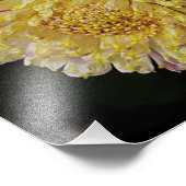 Roze Anemone Dahlia Bloom Bloemen Foto Afdruk (Hoek)