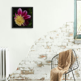 Roze Anemone Dahlia Bloom Bloemen Foto Afdruk