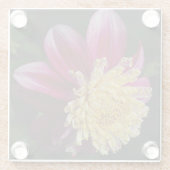 Roze Anemone Dahlia Bloom Bloemen Glazen Onderzetter (Achterkant)