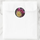 Roze Anemone Dahlia Bloom Bloemen Ronde Sticker (Tas)