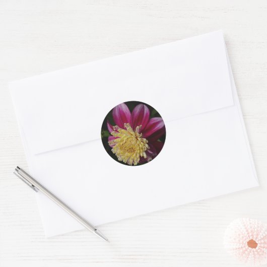 Roze Anemone Dahlia Bloom Bloemen Ronde Sticker (Envelop)