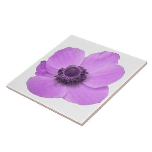 Roze Anemone Tile Tegeltje