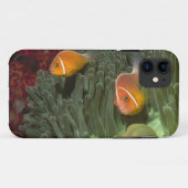Roze anemonefish in Magnificant Zee Anemone Case-Mate iPhone Case (Achterkant (horizontaal))
