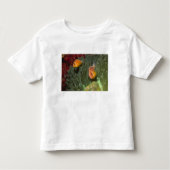 Roze anemonefish in Magnificant Zee Anemone Kinder Shirts (Voorkant)