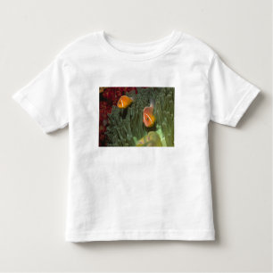 Roze anemonefish in Magnificant Zee Anemone Kinder Shirts