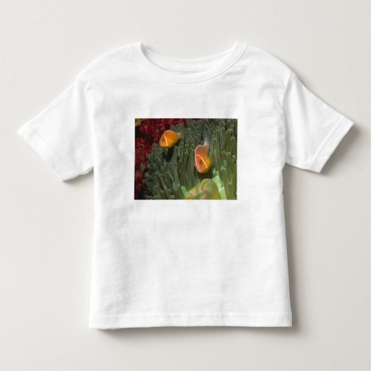 Roze anemonefish in Magnificant Zee Anemone Kinder Shirts (Voorkant)