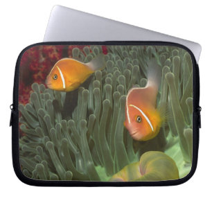 Roze anemonefish in Magnificant Zee Anemone Laptop Sleeve