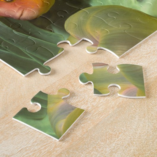 Roze anemonefish in Magnificant Zee Anemone Legpuzzel (Zijkant)