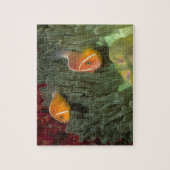 Roze anemonefish in Magnificant Zee Anemone Legpuzzel (Verticaal)